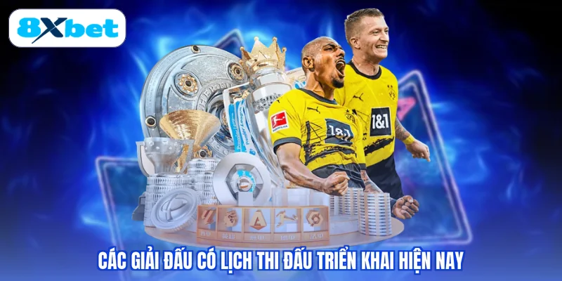 Các giải đấu có lịch thi đấu triển khai hiện nay